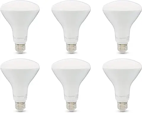 Determine The Size Of The Ceiling Light Bulbs
